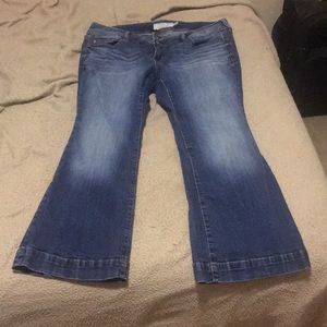Torrid Flare Jean